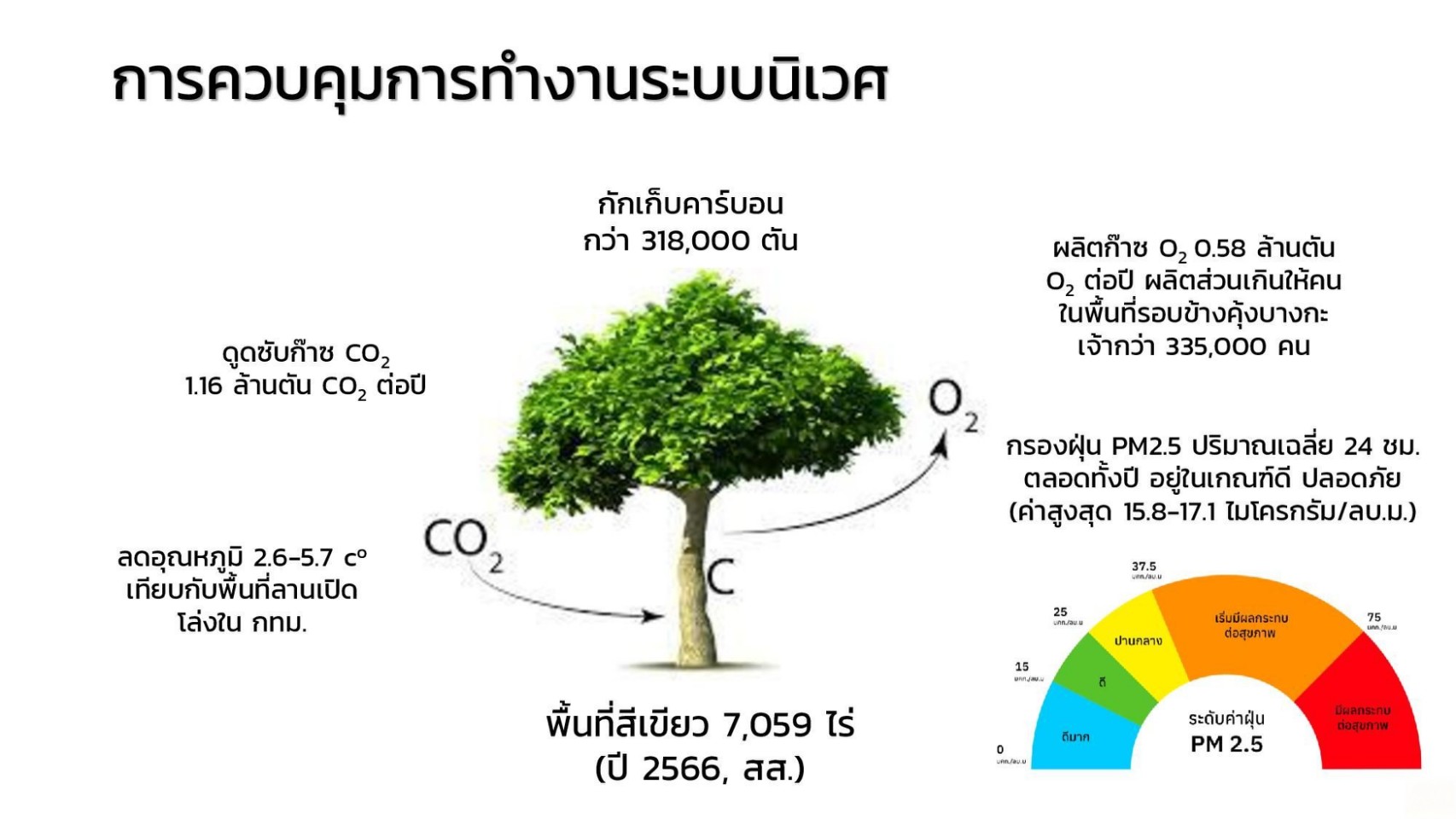 12 บัญชีระบบนิเวศคุ้งบางกะเจ้า 0