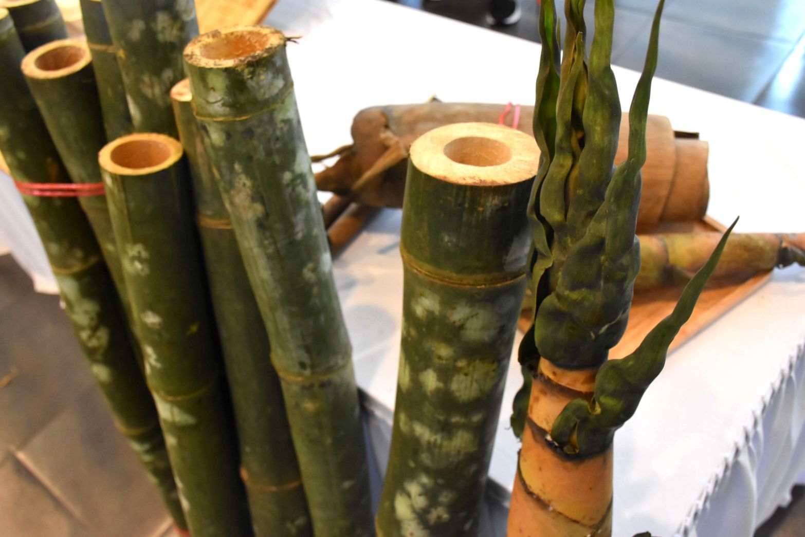 09 ไผ่ตัดอายุ 0