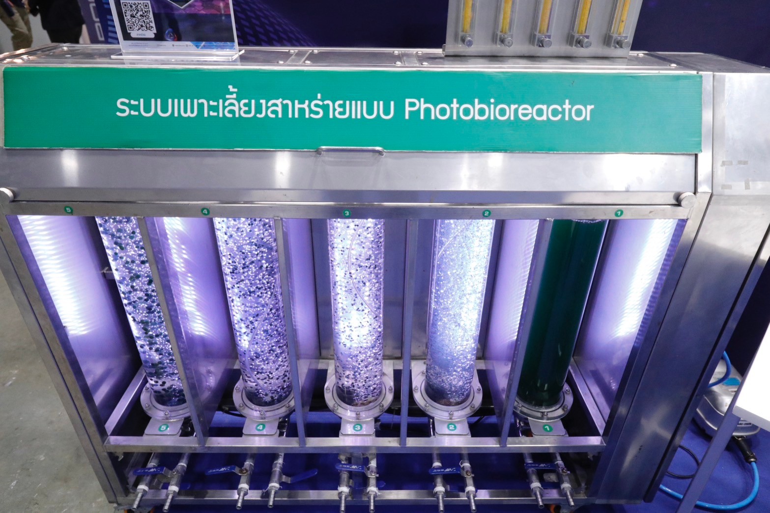 6เพาะเลี้ยงสาหร่าย