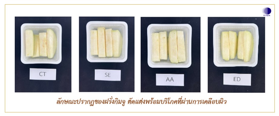 2 ลักษณะปรากฏของฝรั่งกิมจู ตัดแต่งพร้อมบริ