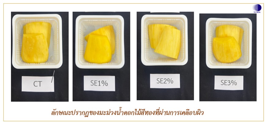3 ลักษณะปรากฏของมะม่วงน้ำดอกไม้สีทองที่ผ่