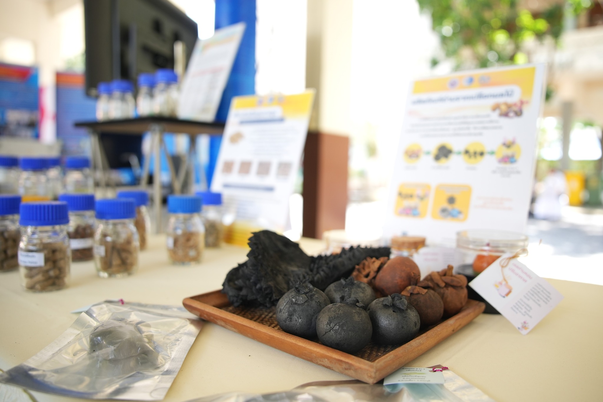 8 ผลงาน วว. 1