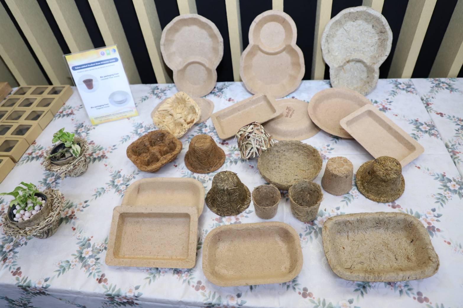 7 ผลงาน วว. เพิ่มมูลค่าขยะ 2