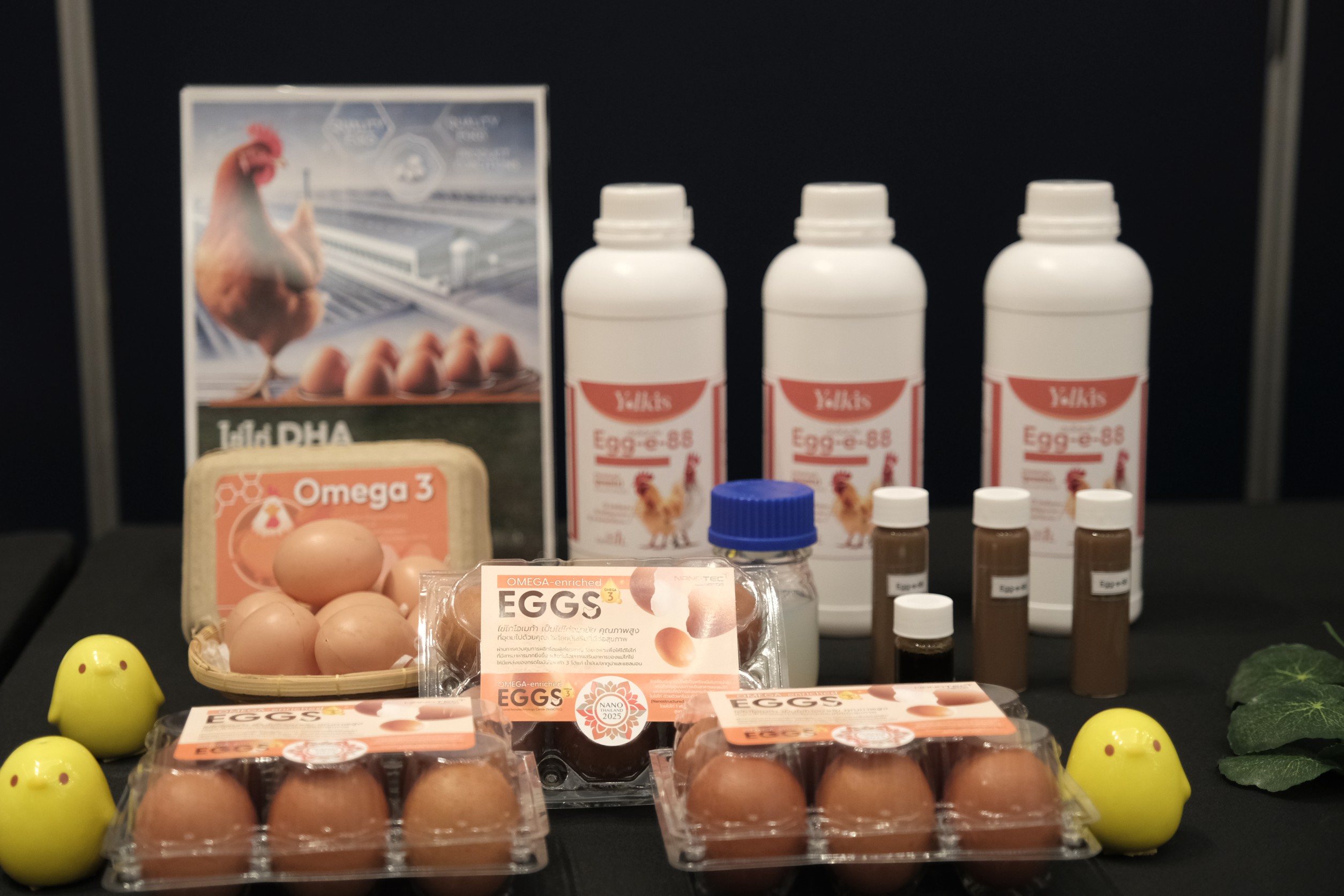 13 ตัวอย่างงาน Nano 9