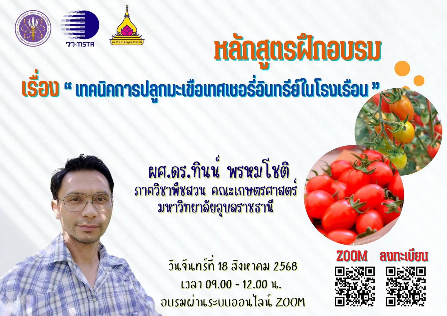 2 เทคนิคการปลูกมะเขือเทศเชอรี่อินทรีย์ในโ