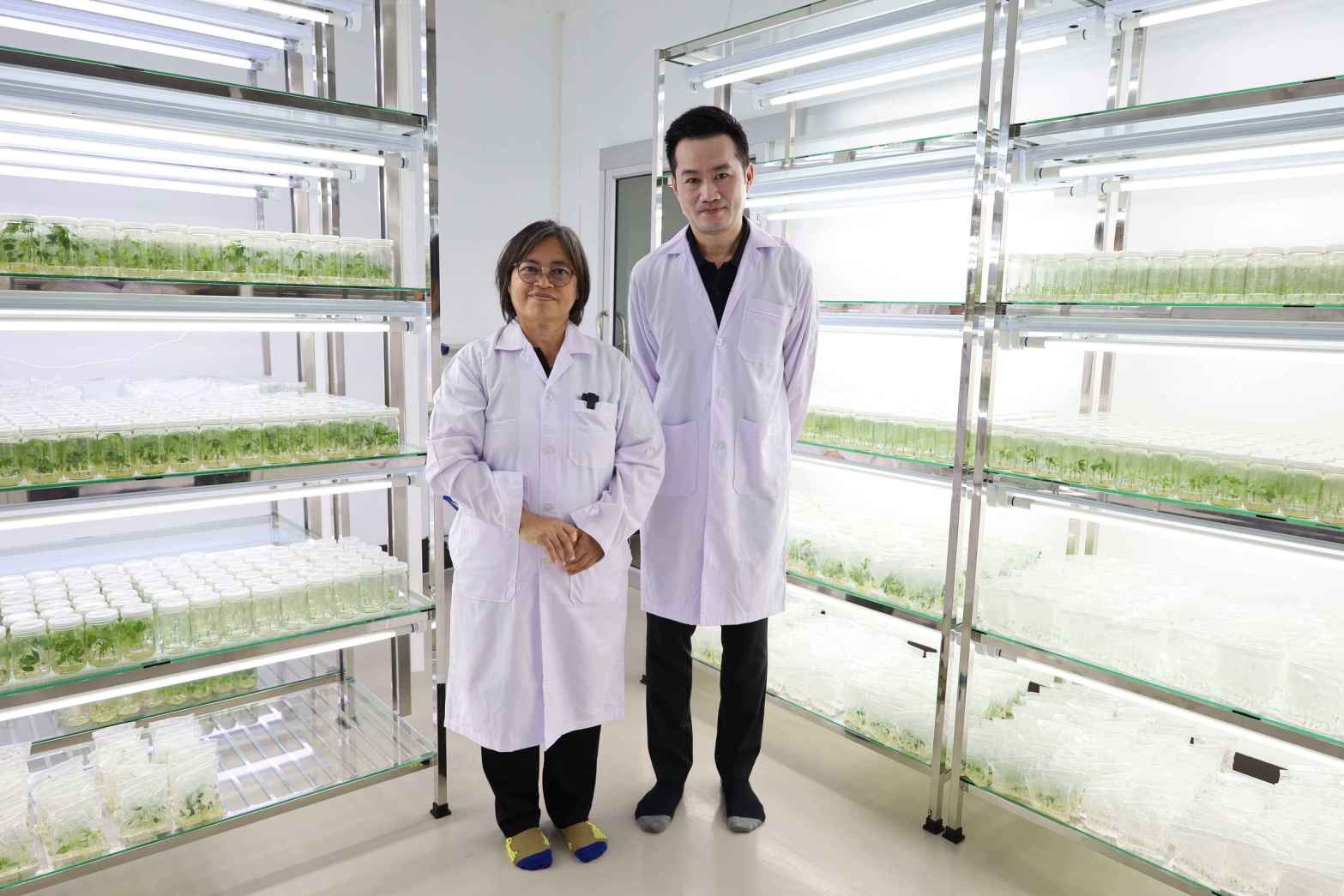 12 ทีมวิจัยธนาคารเนื้อเยื่อพืช ไบโอเทค 0