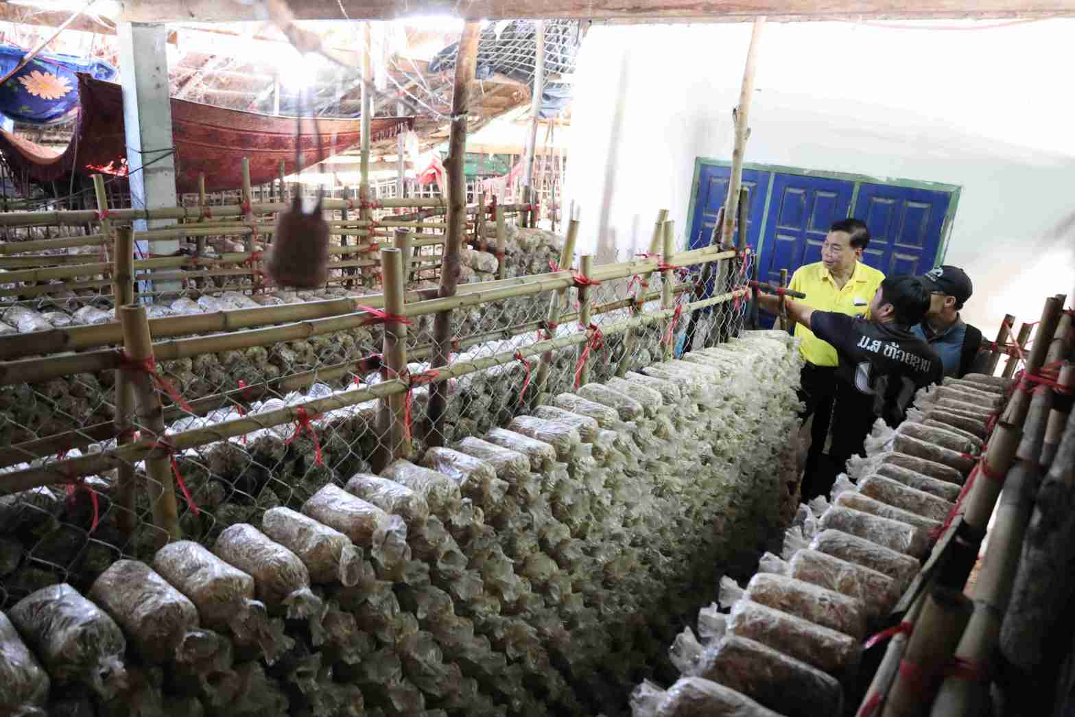 13 เยี่ยมฟาร์มของเกษตกรที่เคยเข้าร่วมอบรม 0