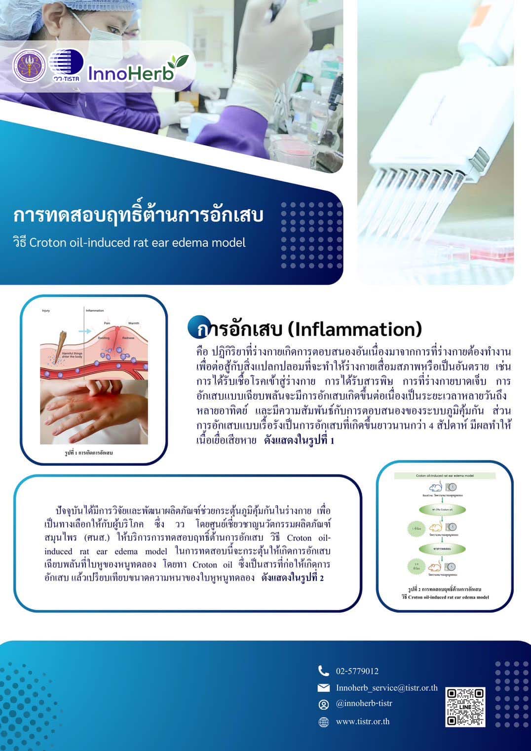 1การทดสอบฤทธิ์ต้านการอักเสบ