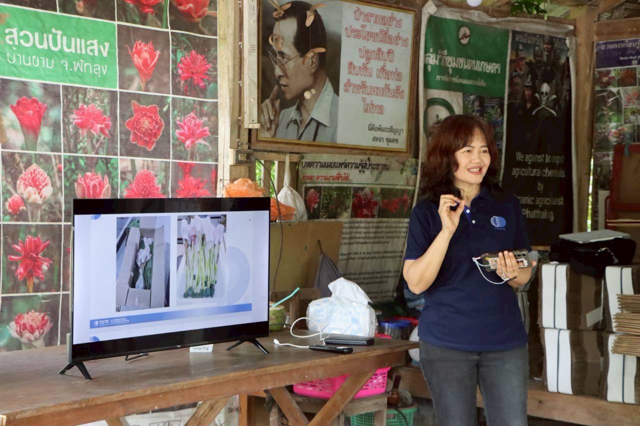 5ดร.รุจิรา