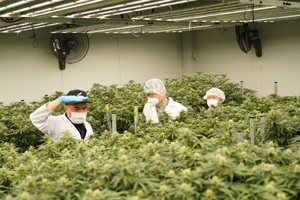 timeline 20211022 210249