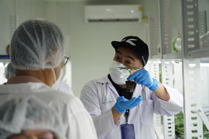 timeline 20211022 210315