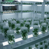 “ศ.ดร.ศุภชัย ปทุมนากุล ” และคณะบอร์ด ลงพื้นที่ติดตามการดำเนิ ... Image 6