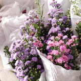 “ศ.ดร.ศุภชัย ปทุมนากุล ” และคณะบอร์ด ลงพื้นที่ติดตามการดำเนิ ... Image 7