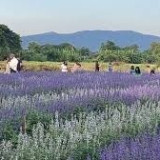 “ศ.ดร.ศุภชัย ปทุมนากุล ” และคณะบอร์ด ลงพื้นที่ติดตามการดำเนิ ... Image 8