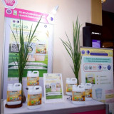 วว. ร่วมแถลงข่าวการจัดงานมหกรรมงานวิจัยแห่งชาติ 2568 “Resear ... พารามิเตอร์รูปภาพ 1