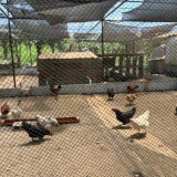 วว. ร่วมประชุมวิชาการ DOST-PCAARRD-TISTR ณ ประเทศฟิลิปปินส์  ... Image 3