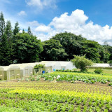 วว. ร่วมประชุมวิชาการ DOST-PCAARRD-TISTR ณ ประเทศฟิลิปปินส์  ... Image 4