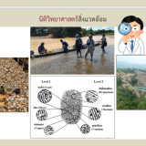 รมช.มท. เร่งสื่อสารข้อมูลทางวิทยาศาสตร์ จับมือสกสว. แก้ปัญหา ... Image 2