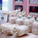 วว. /สทนช. /MRCS ร่วมสานสัมพันธ์ 75 ปี ความสัมพันธ์ทางการทูต ... พารามิเตอร์รูปภาพ 4