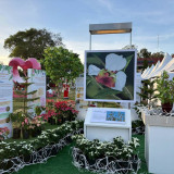 วว. โชว์ผลงานเพิ่มศักยภาพการผลิตและปลูกเลี้ยงไม้ดอกไม้ประดับ ... Image 3