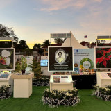 วว. โชว์ผลงานเพิ่มศักยภาพการผลิตและปลูกเลี้ยงไม้ดอกไม้ประดับ ... Image 2