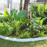 วว. จับมือ วช. ขับเคลื่อนโครงการปลูกไม้ดอกไม้ประดับเพื่อสร้า ... พารามิเตอร์รูปภาพ 1