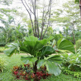 วว. จับมือ วช. ขับเคลื่อนโครงการปลูกไม้ดอกไม้ประดับเพื่อสร้า ... พารามิเตอร์รูปภาพ 3