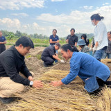 วว./วช. /เทศบาลนครเชียงราย ร่วมหารือหน่วยงานในพื้นที่กำหนดแน ... Image 2