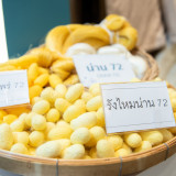 สวทช. ผนึกกำลัง กรมหม่อนไหม และ ธ.ก.ส. ชูนวัตกรรมยกระดับอุตส ... Image 5