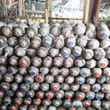 ไบโอเทค สวทช. นำทัพนักวิชาการลงพื้นที่แขวงสะหวันนะเขต สปป.ลา ... Image 3