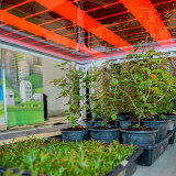 กรมสมเด็จพระเทพฯ เสด็จฯ เปิดงาน NAC2026 สวทช. ชูธง ‘เศรษฐกิจ ... พารามิเตอร์รูปภาพ 1