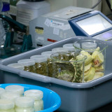 วว. ต้อนรับคณะกรรมการ กวท. ในโอกาสลงพื้นที่ตรวจเยี่ยมการดำเน ... พารามิเตอร์รูปภาพ 8
