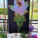 วว.-วช –วิทยาลัยอาชีวศึกษาภาวณาโพธิคุณ ผนึกกำลังเปิด “ศูนย์ถ ... Image 7