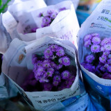 วว. ขยายผลต้นแบบพืชลดฝุ่น PM 2.5 จุดพลังเยาวชนเชียงราย สร้าง ... Image 12