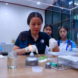 วว. ขยายผลต้นแบบพืชลดฝุ่น PM 2.5 จุดพลังเยาวชนเชียงราย สร้าง ... Image 4