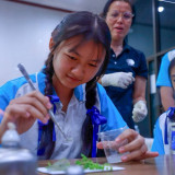 วว. ขยายผลต้นแบบพืชลดฝุ่น PM 2.5 จุดพลังเยาวชนเชียงราย สร้าง ... Image 6