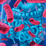 วว./ อินโนบิก ร่วมยกระดับงานวิจัย “Functional Probiotic” สาย ... Image 6
