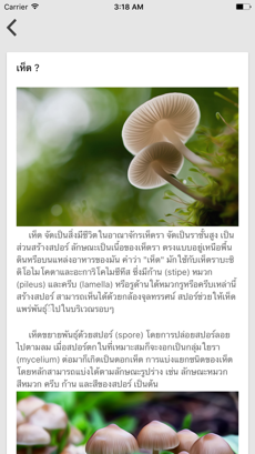 Mushroom Cultivation Image 2