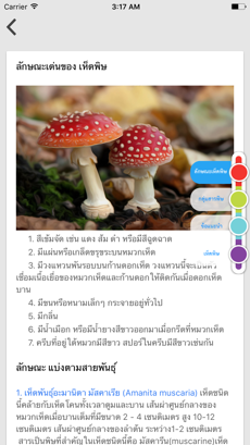 Mushroom Cultivation Image 1