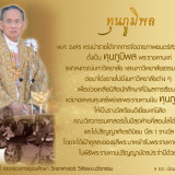 น้อมรำลึก “ในหลวงรัชกาลที่ 9” ต่อการพัฒนาการอุดมศึกษา วิทยาศ ... พารามิเตอร์รูปภาพ 10