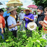 ดร.ดนุช ตันเทอดทิตย์ เลขานุการ รมว.อว. ติดตามการดำเนินงานโคร ... พารามิเตอร์รูปภาพ 4