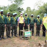 อว. ร่วมแสดงพลังปลูกต้นไม้ล้านต้น ล้านความดี เพิ่มพื้นที่ป่า ... Image 2