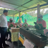 ดร.ลัทธจิตร มีรักษ์ ผู้ช่วยรัฐมนตรี อว. ลงพื้นที่วิสาหกิจชุม ... พารามิเตอร์รูปภาพ 2