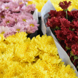 วช. ร่วมกับ วว. ใช้งานวิจัยและนวัตกรรมทาง วิทยาศาสตร์ช่วยเกษ ... Image 13