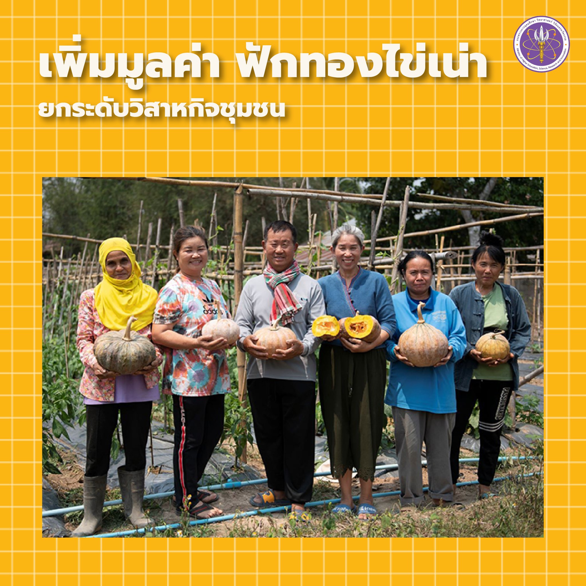 277707232 357411579761835 1731541429576968820 n