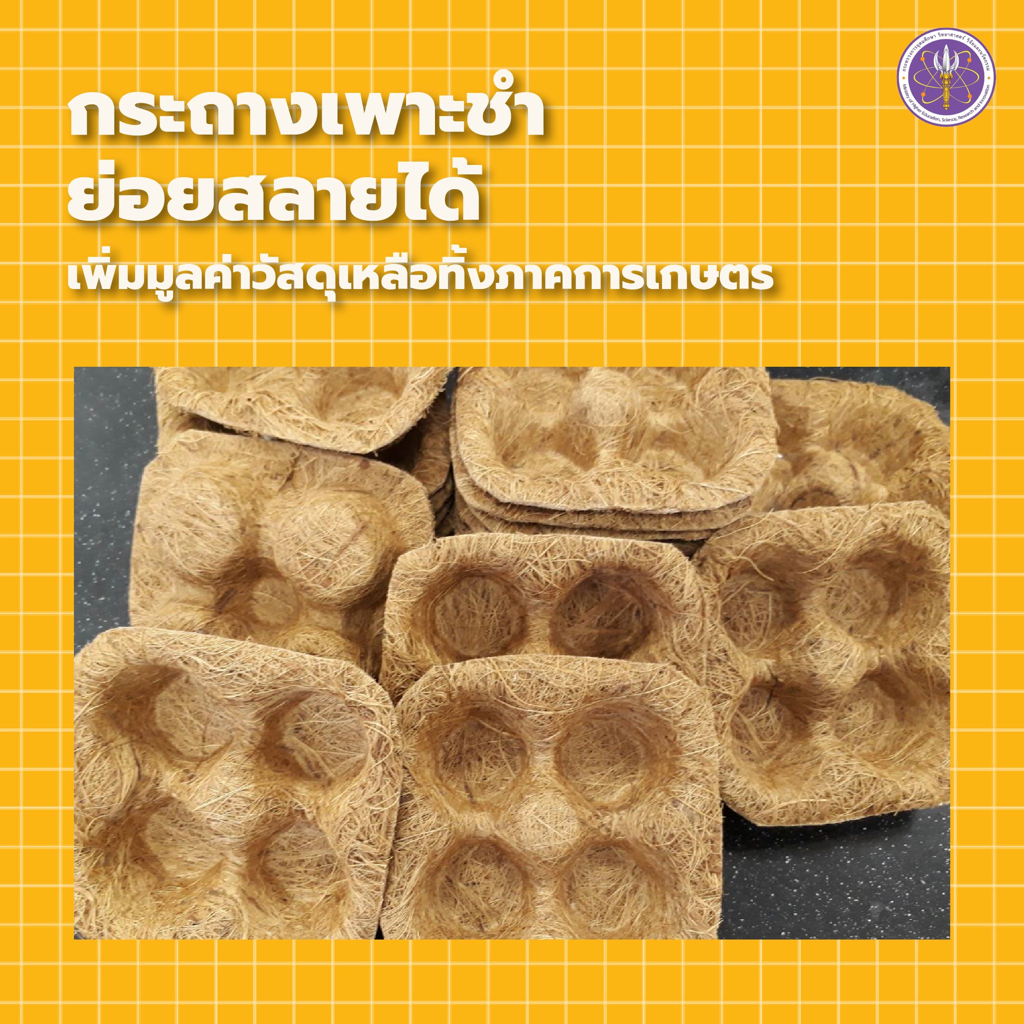 277766946 357411633095163 2091493421237039526 n