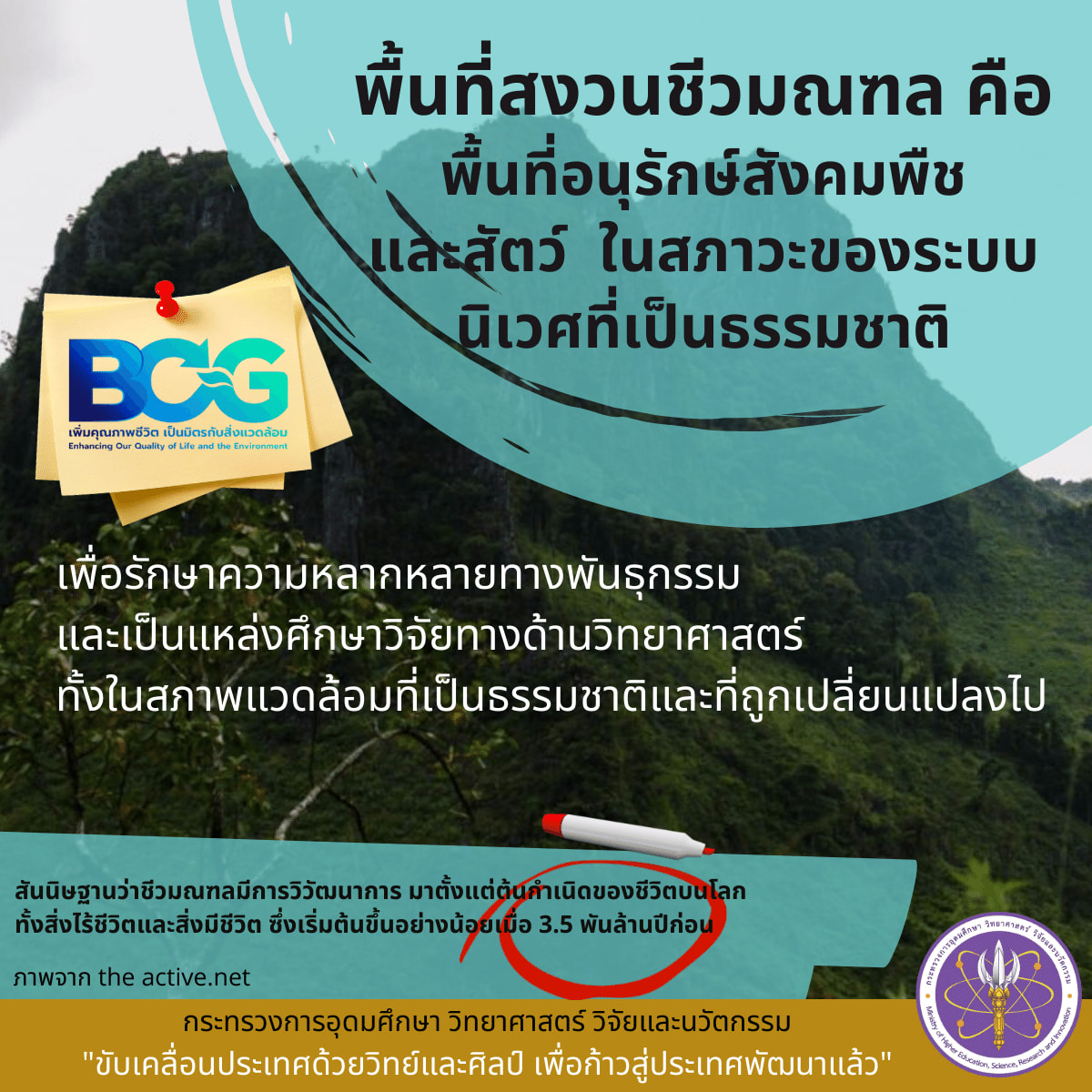 278404436 366034018899591 620496549235502833 n