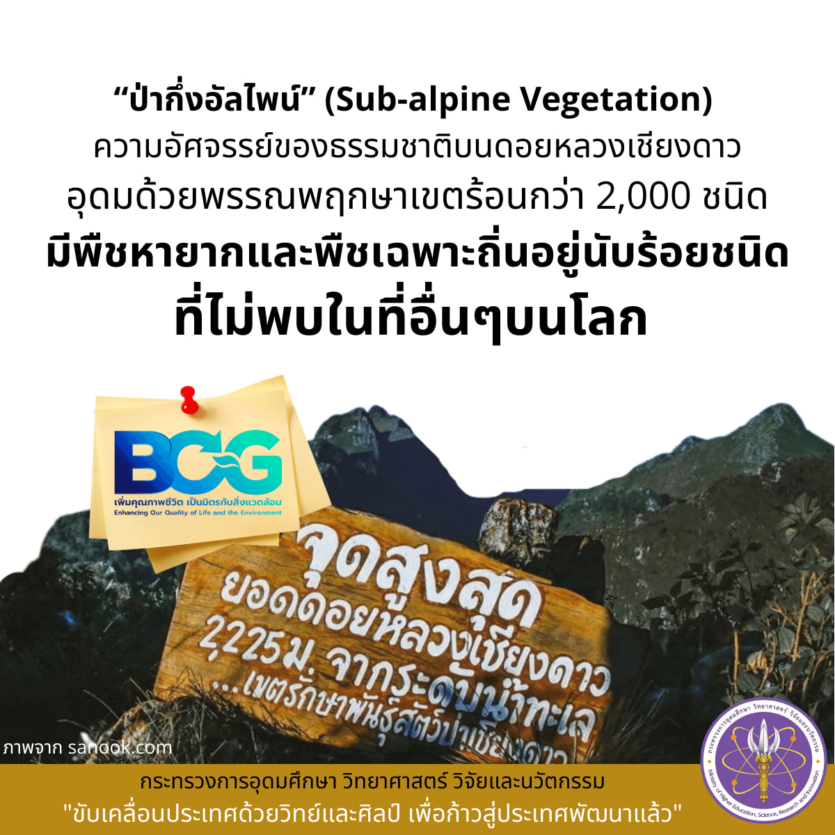 278438359 366034098899583 8654593611677343857 n