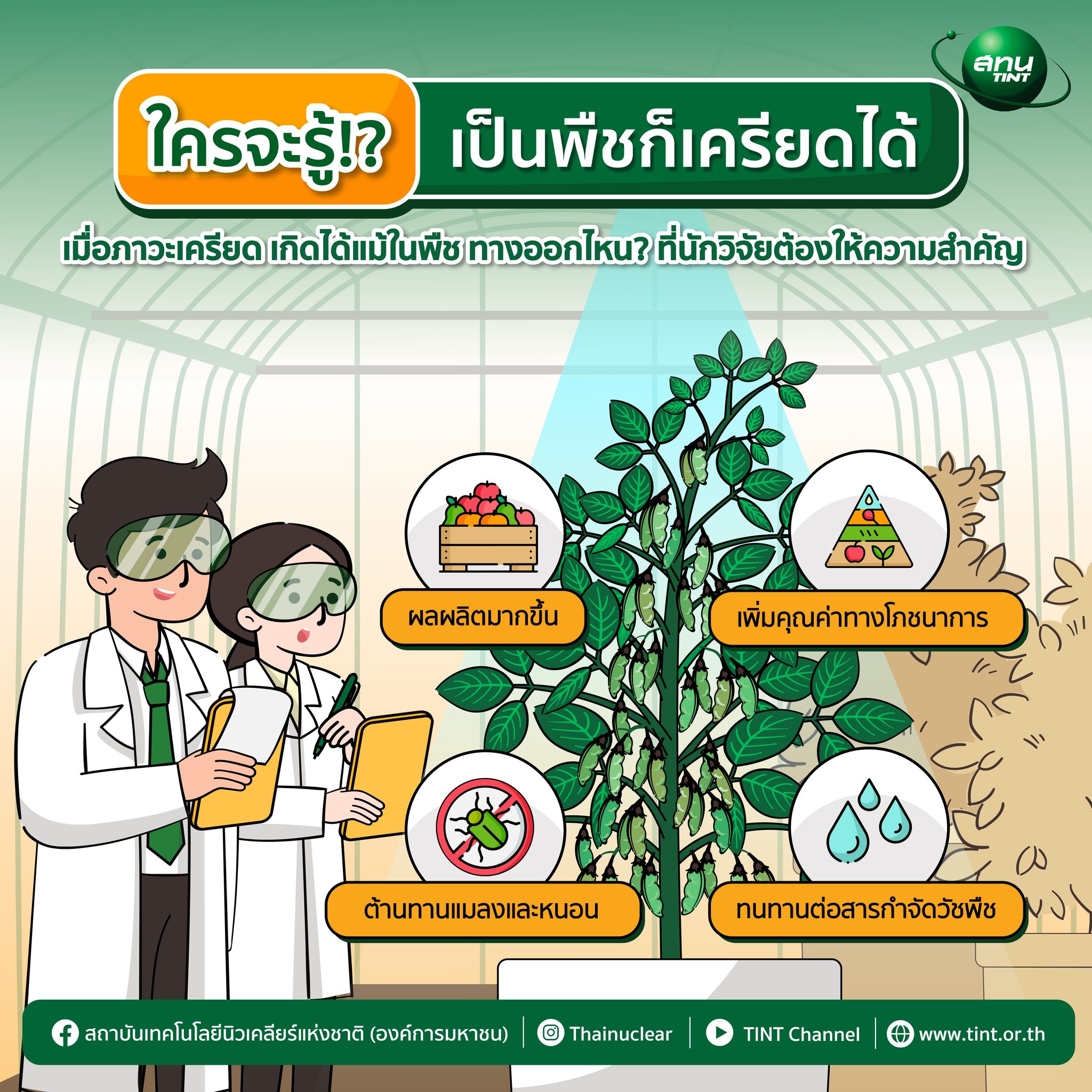 278858278 352550666903329 7714369055548892953 n