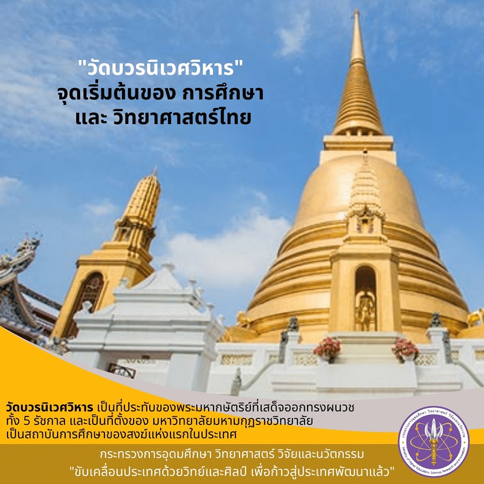 297488863 448684413967884 4800731786149754220 n